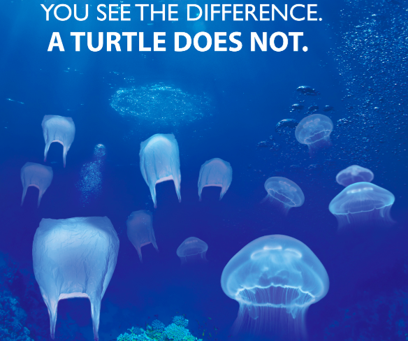 Image of Plastic bags and jellyfish